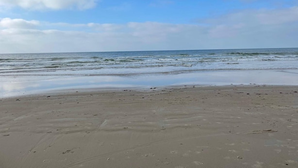 A beach with a wide sandy shore and gentle waves. - 4 Star Holiday Home in Lokken (Lokken)