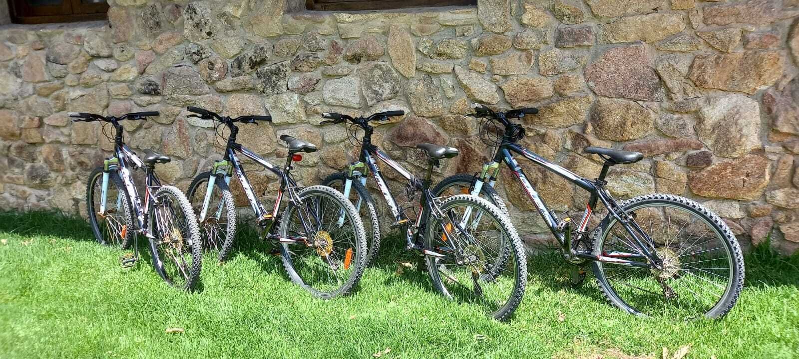 A row of bicycles parked against a stone wall.