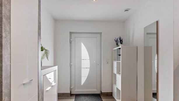 Un pasillo con una puerta blanca, una planta y un espejo.