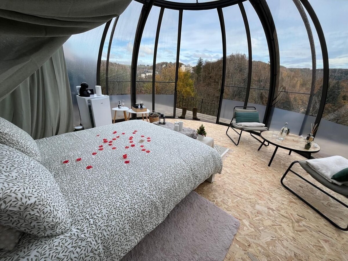 Imagen de perfil del propietario o de la propietaria