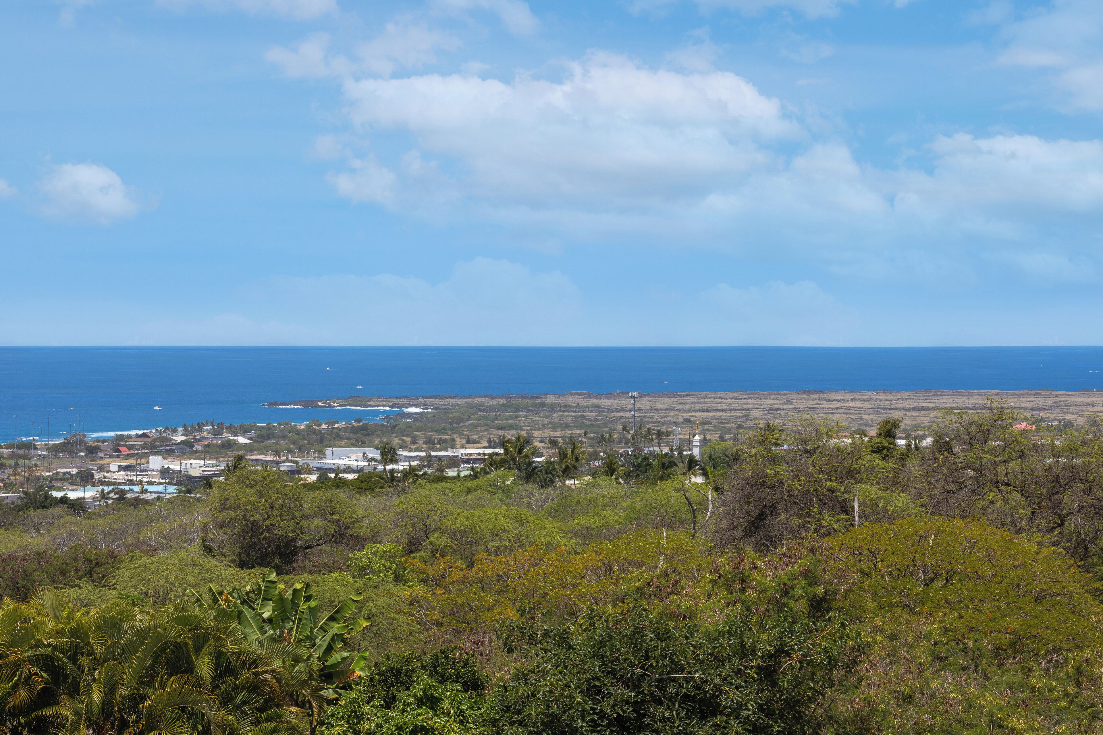 A coastal landscape with a view of the ocean and a distant cityscape.