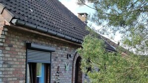 Ein Backsteinhaus mit Fenster, Tür und kleinem Garten.