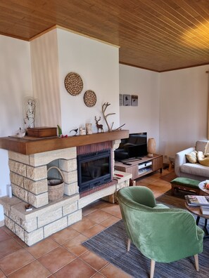 A living room with a stone fireplace, a television, a green armchair, and a sofa.