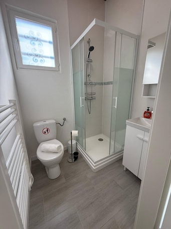 Shower, hair dryer, towels, toilet paper. Studios 54