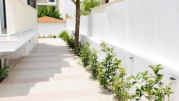 Un sendero estrecho bordeado por paredes blancas y un árbol, que conduce a un edificio con varias ventanas.