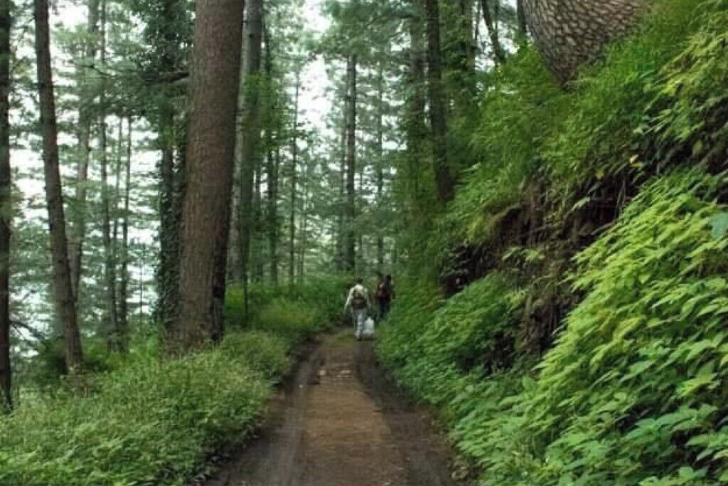 Deluxe Double Room, Mountain View | Miscellaneous