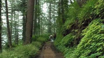 Deluxe Double Room, Mountain View | Miscellaneous