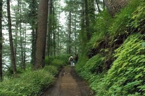 Deluxe tweepersoonskamer, uitzicht op bergen | Overig