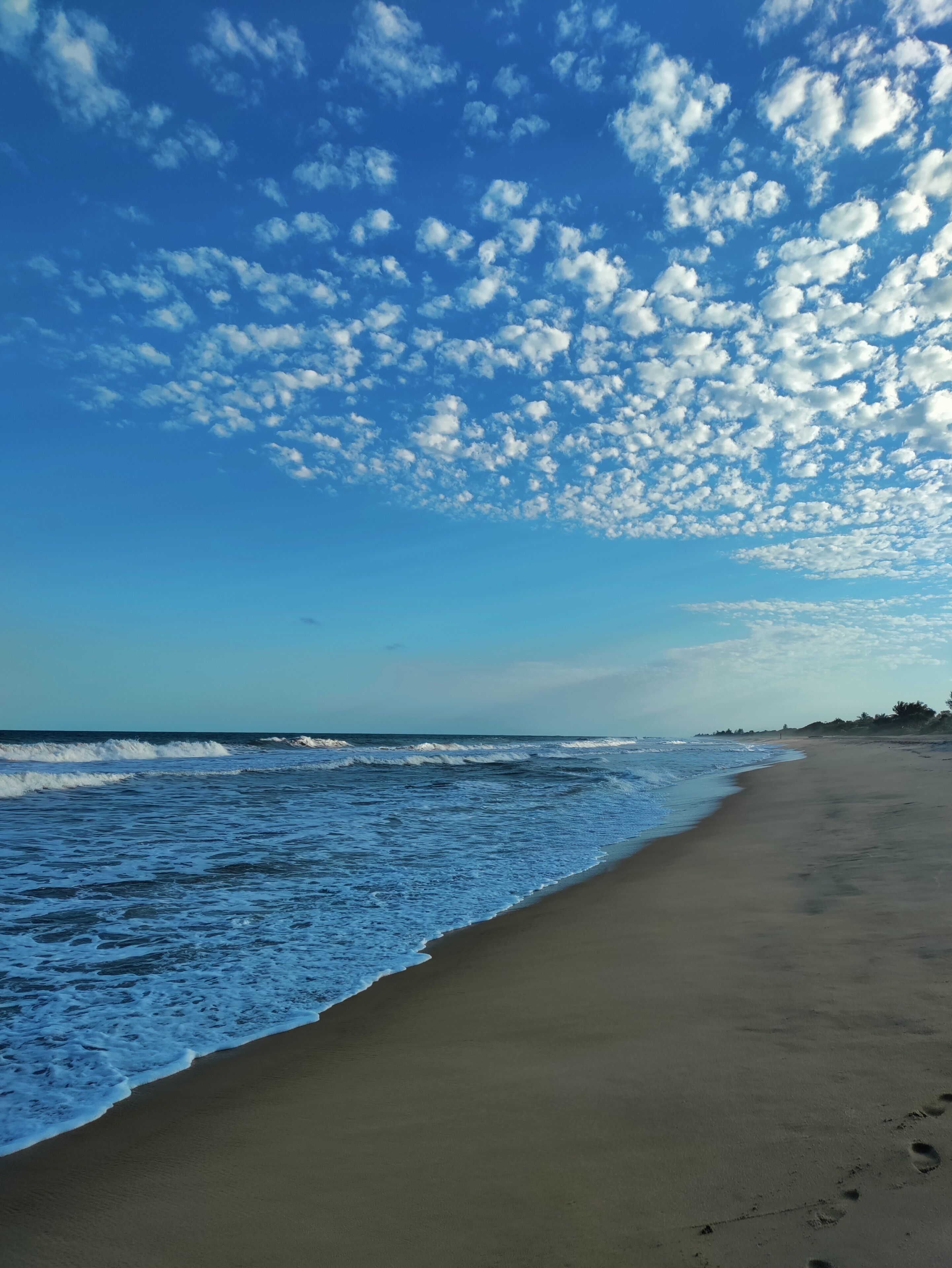 A beach with waves, a clear sky, and a distant shoreline.