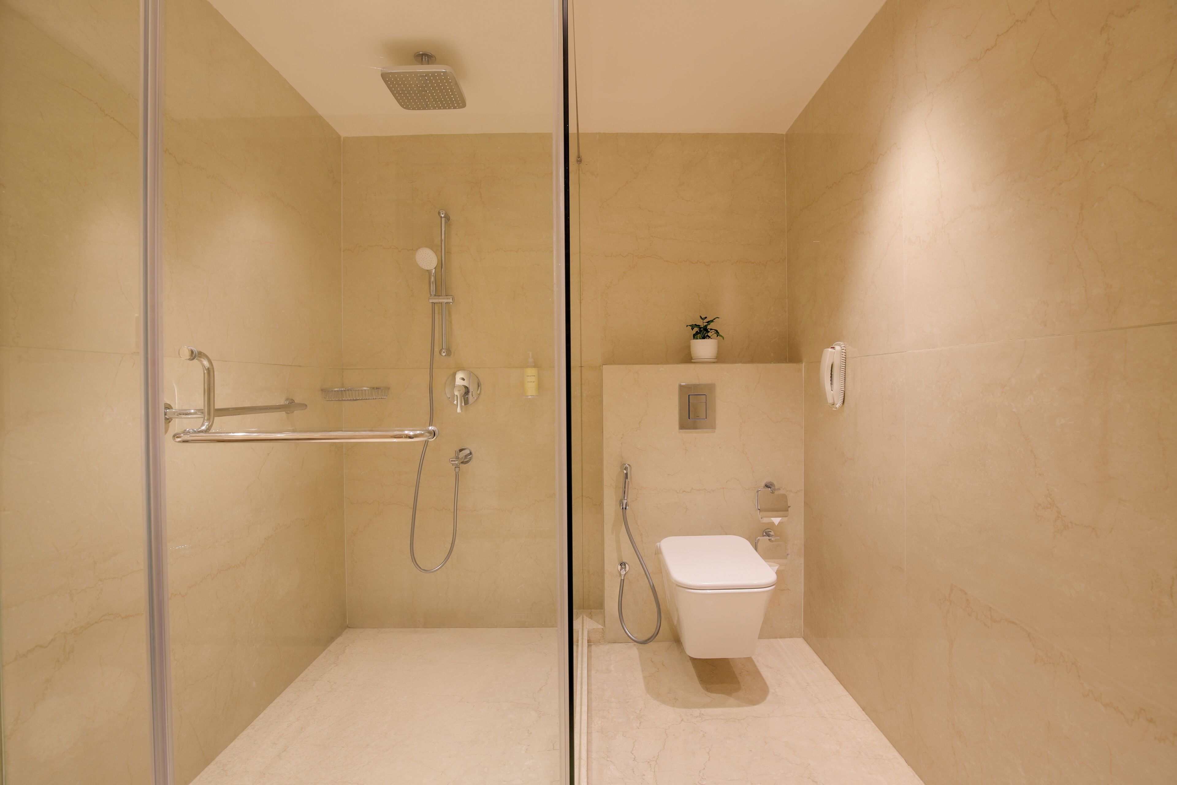 A modern bathroom with a glass shower enclosure, a toilet, and a small potted plant on the wall.