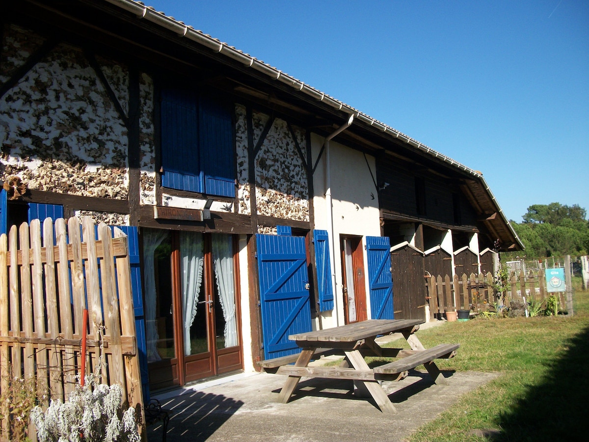 Image de profil de l’hôte