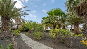 Ein Garten mit Palmen, einem Steinweg und einem Gebäude im Hintergrund.
