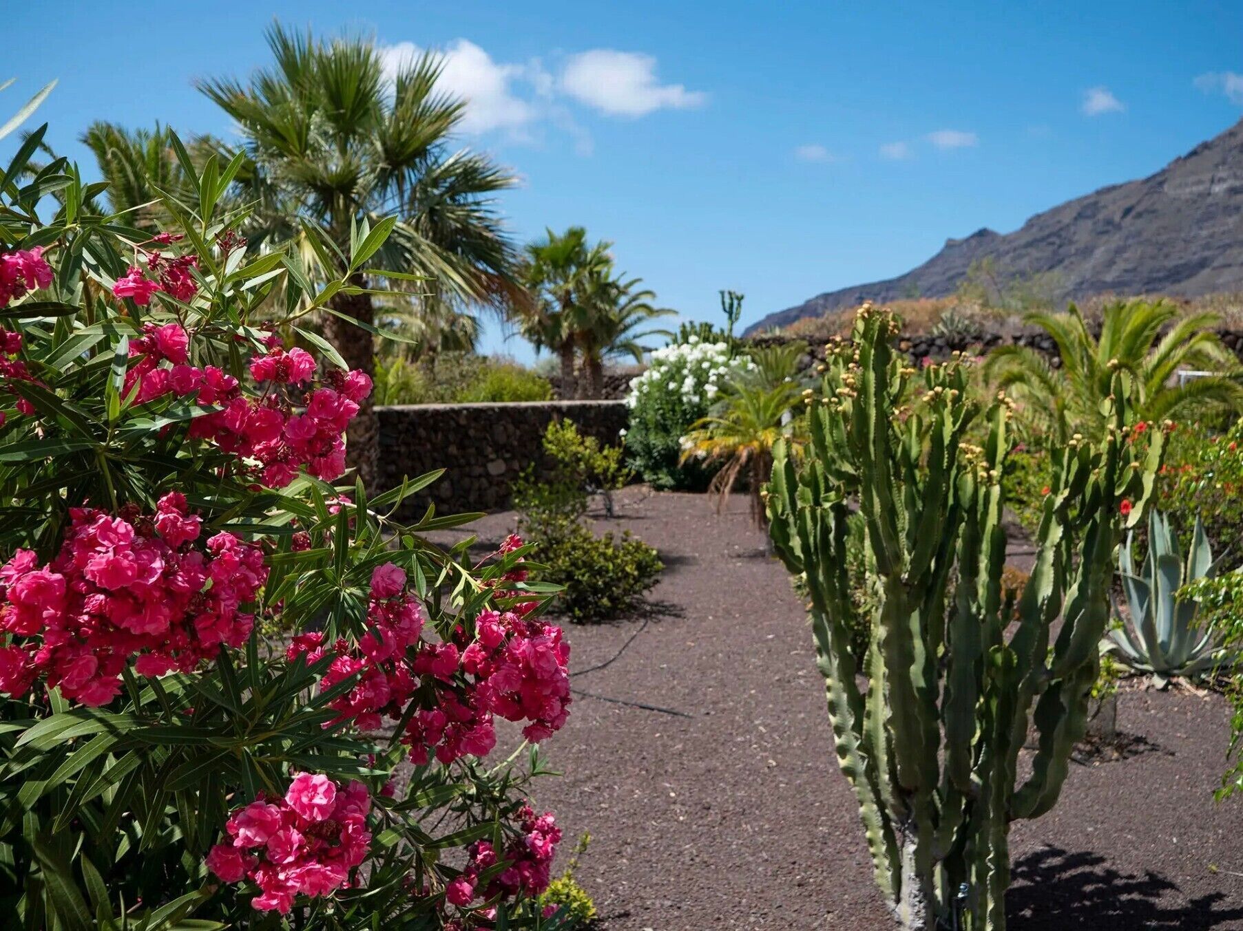 Jardines del alojamiento