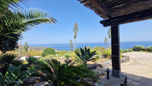 Un espacio al aire libre cubierto con vistas al océano, rodeado de plantas y un sendero de piedra.
