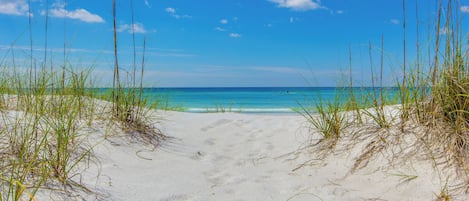 Una playa con arena blanca y hierba alta en primer plano, que se extiende hacia un océano azul tranquilo bajo un cielo despejado.