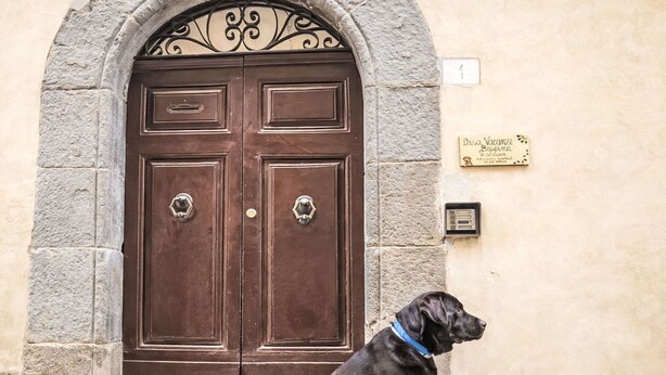 Un chien noir, portant un collier bleu, est assis sur des marches de pierre devant une porte marron à deux battants, surmontée d’une arche métallique.