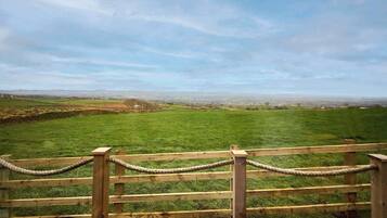 A wooden fence with a rope barrier, a grassy field, and a distant view of a town.