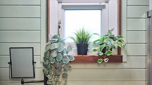 A window with a wooden frame, a potted plant, and a small shelf. - Host Stay Curlews Rest (Preston)