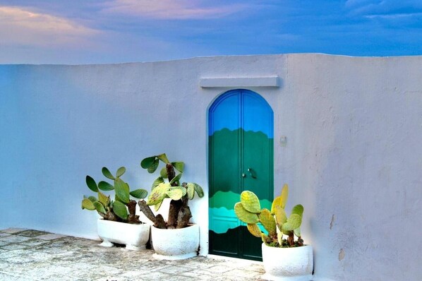 Un bâtiment blanc avec une porte bleue et des cactus en pot.