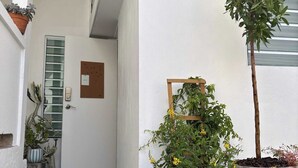 外観の詳細