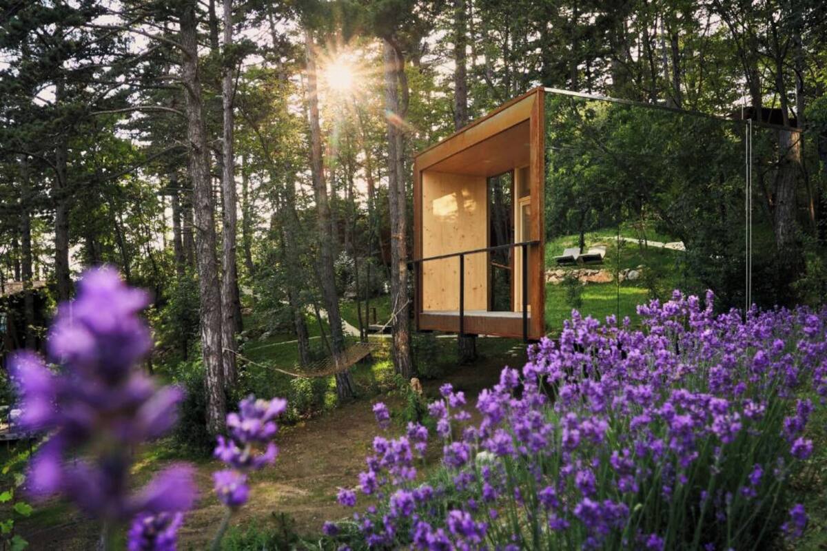 Nhà di động Cao cấp, 1 phòng ngủ, máy điều hòa, cạnh núi (Theodosius Glamping Reader's Nest &) | Khuôn viên nơi lưu trú