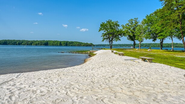 A sandy beach with a clear view of a lake and a forested island in the distance. - Beautiful waterfront townhouse w/ perfect location, fireplace & WiFi (Mineral)