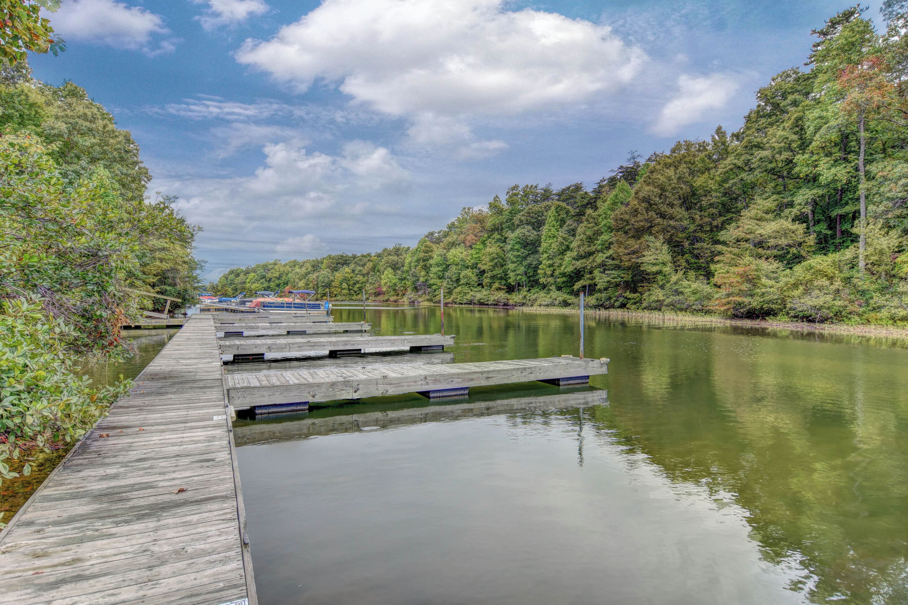 A wooden dock extending into a calm river, surrounded by dense trees.
