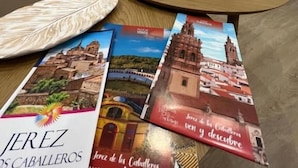 A living room with a sofa, a coffee table with travel brochures, and a decorative vase. - APARTAMENTOS SAN MIGUEL (Jerez de los Caballeros)