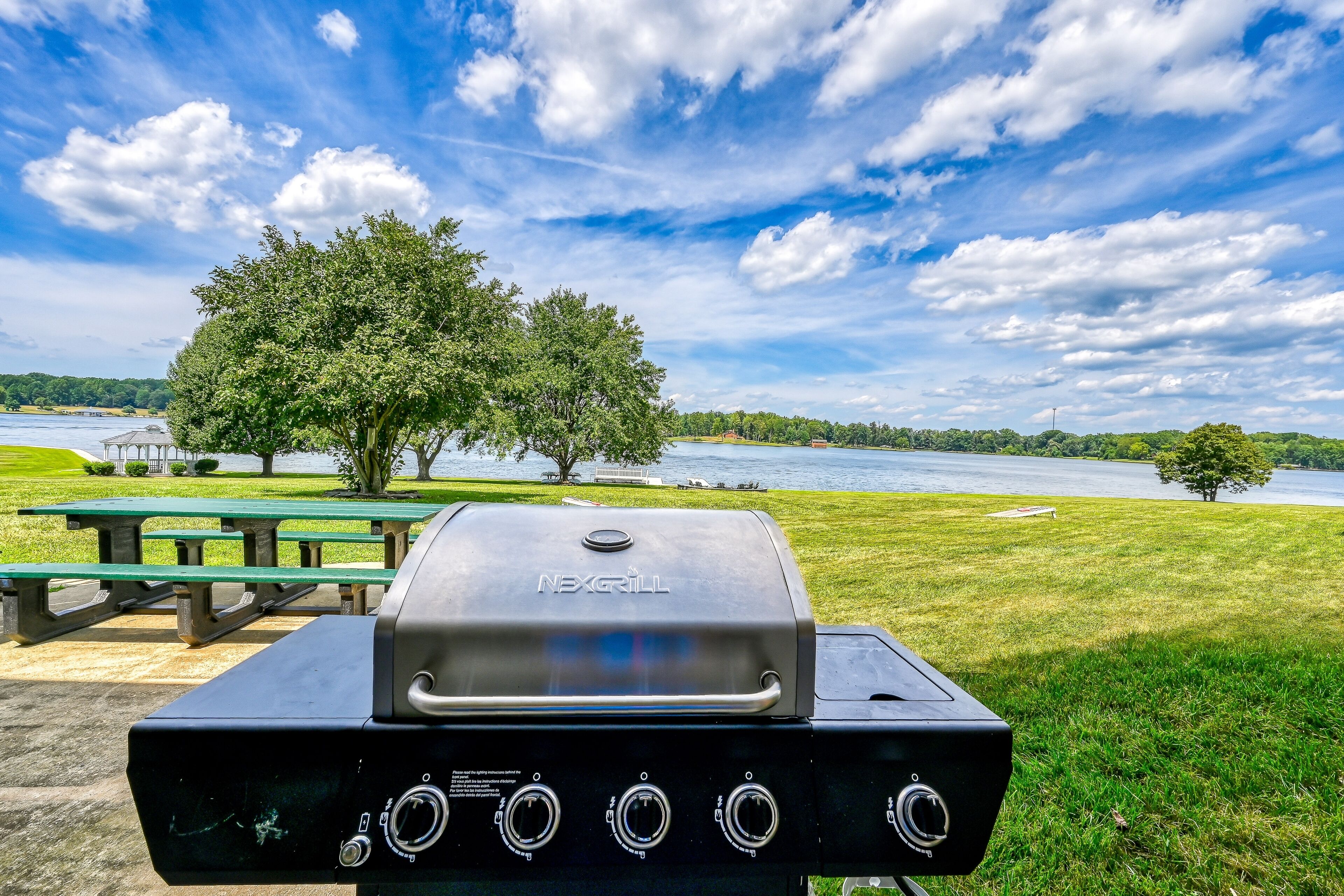 A NEXGRILL barbecue grill with four burners, set against a backdrop of a grassy park with picnic tables and a lake.