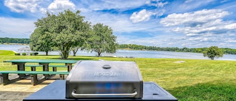 A NEXGRILL barbecue grill with four burners, set against a backdrop of a grassy park with picnic tables and a lake.