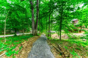Property grounds - Lakeside log home with a private deck, WiFi, firepit, central AC, & washer/dryer (Mineral)