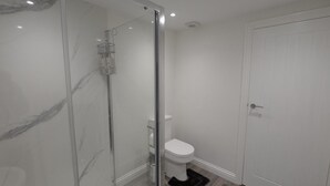Een badkamer met een douche met glazen wand, een toilet en een witte deur.