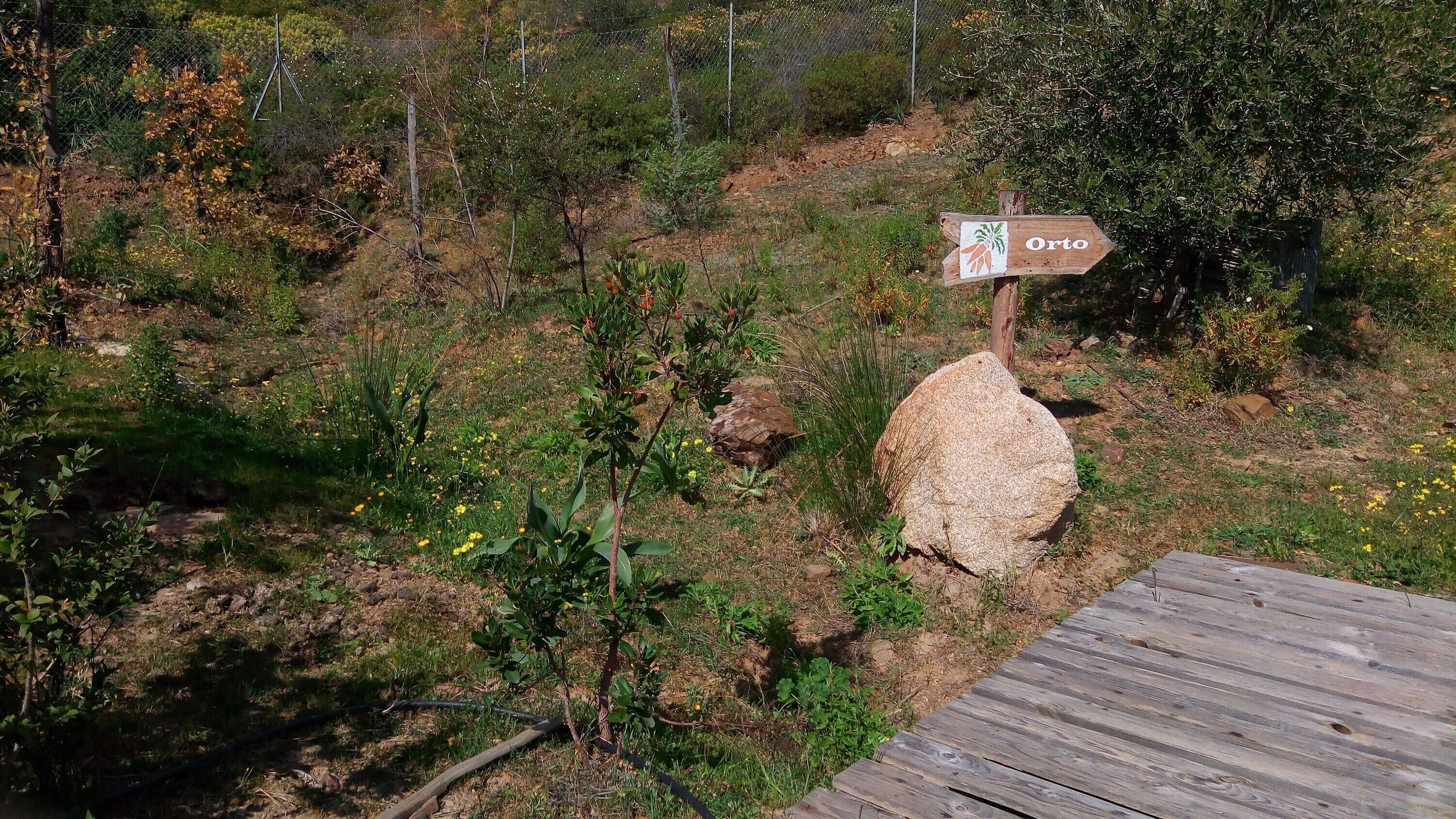 Área da propriedade