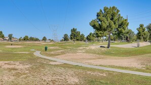 A park with a winding path, trees, and a distant power line structure. - On Johnson Ranch Golf Course: San Tan Valley Home (San Tan Valley)