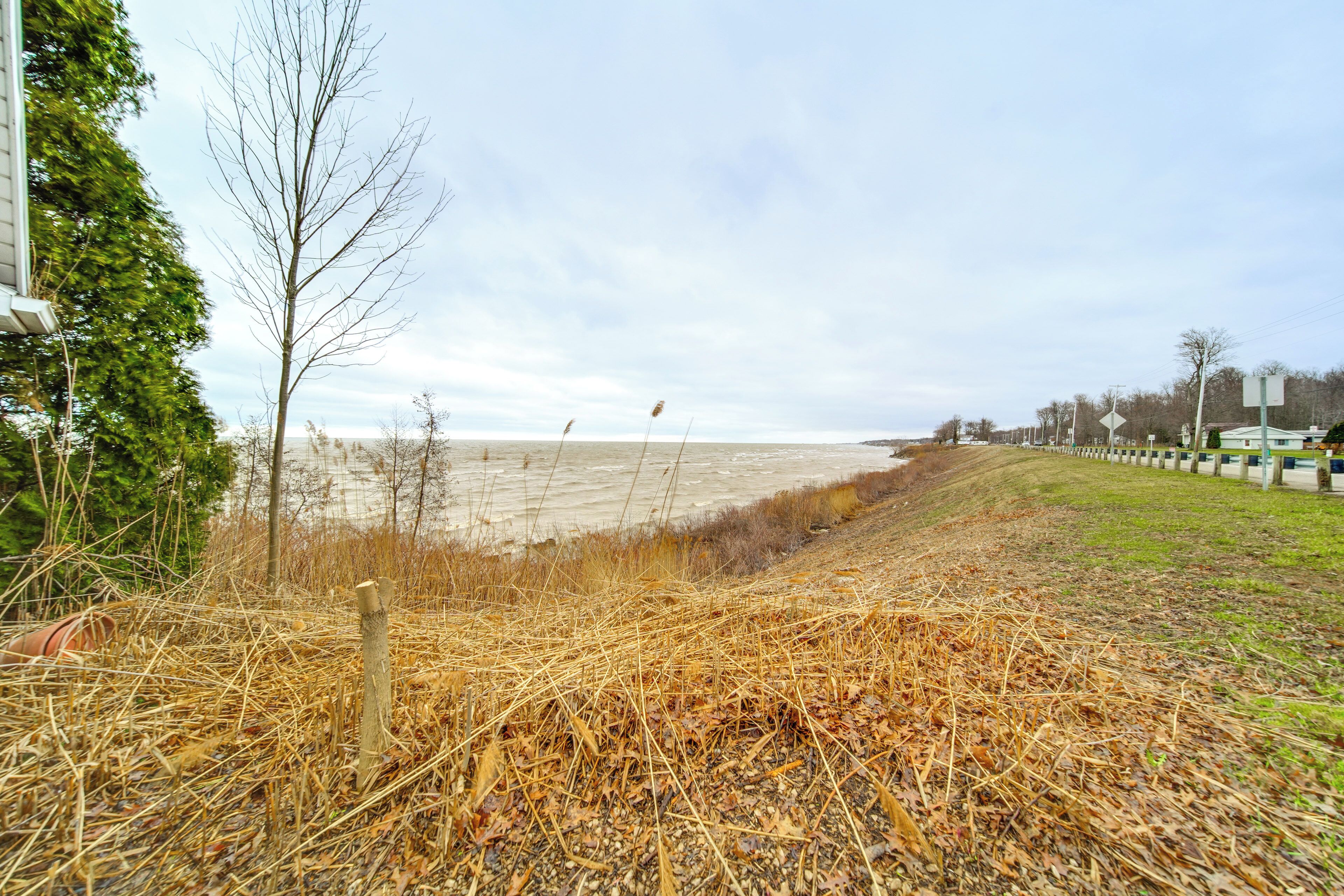 Eine Wiese mit einem Zaun, einem Baum und einem Gewässer im Hintergrund.