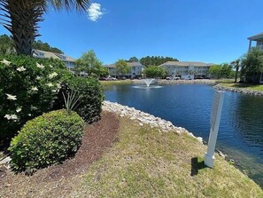 Property grounds - Willow Bend #211-New On Program! 1st Floor End Unit with Pond Views! (North Myrtle Beach)