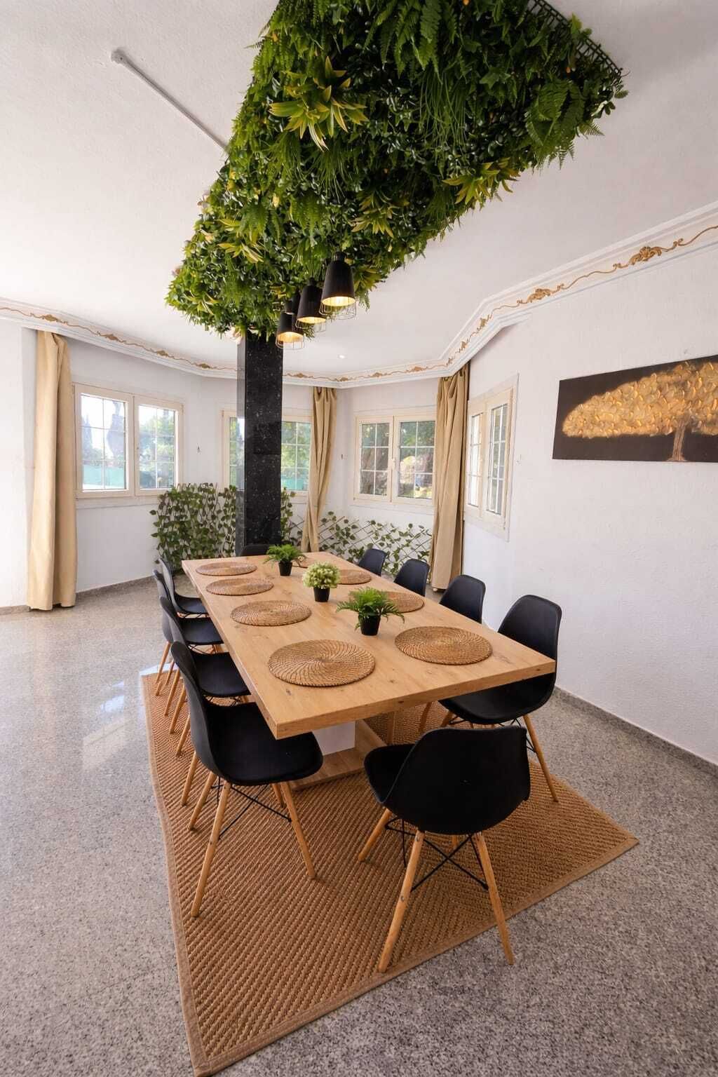 A conference room with a long table, black chairs, woven placemats, and a hanging green plant.