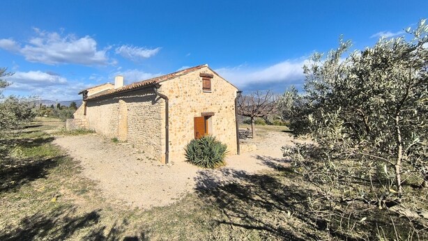 A stone building with a wooden door and window, surrounded by dry grass and olive trees. - Le Puits des Oliviers (Puimoisson)