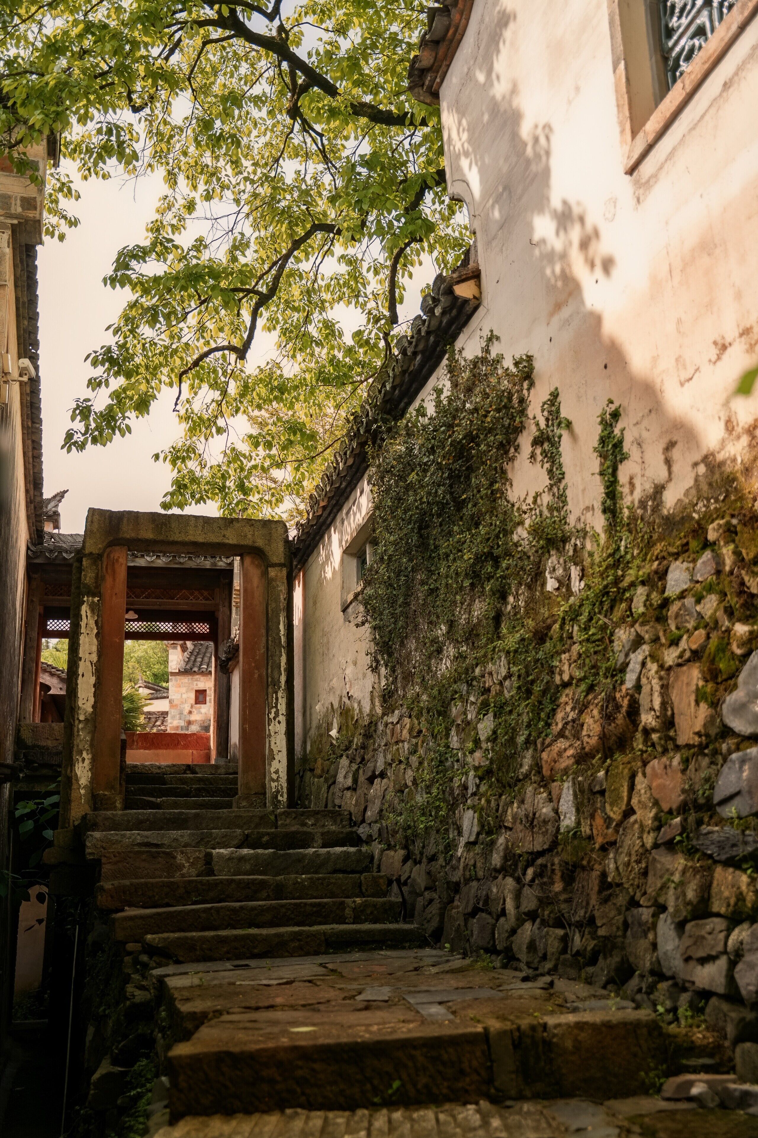 A stone staircase leading to a traditional doorway, surrounded by ivy-covered walls and a tree overhead.