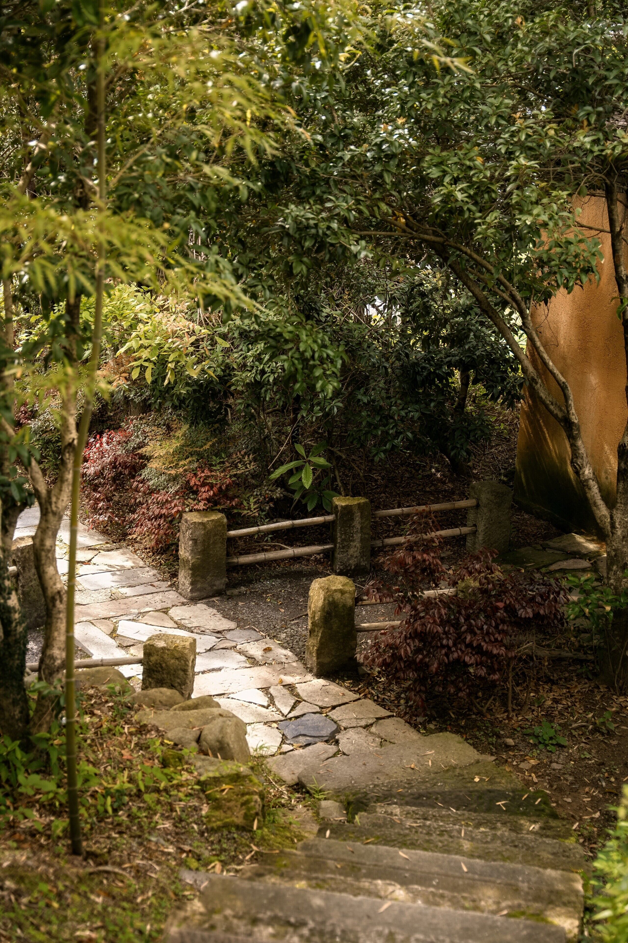 A stone pathway leading through a garden with a wooden fence and a tree.
