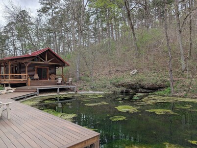 Luxury Craftsman 1-bedroom cabin in SERENE beauty with AC, high end kitchen/bath