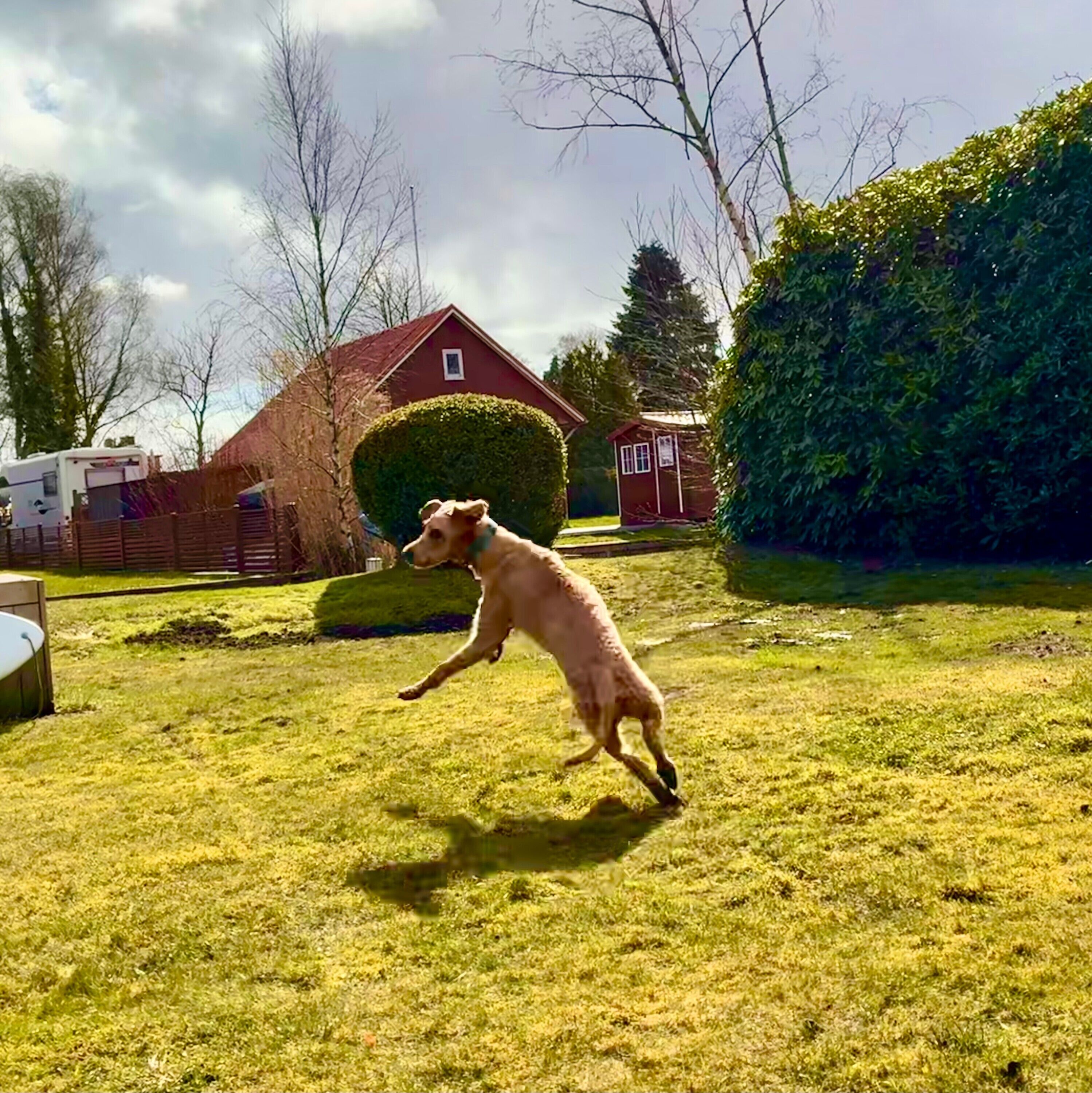 Parco della struttura