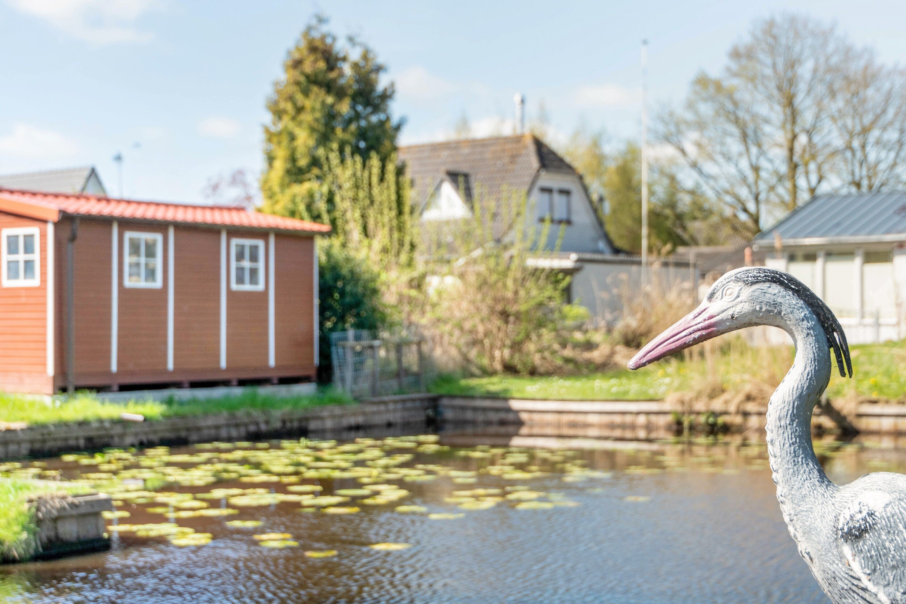 En fugl ved en sø med huse i baggrunden.