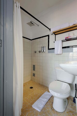 Shower, towels, shampoo - Edificio Aurora – Historical Building w/City Views (Centro)