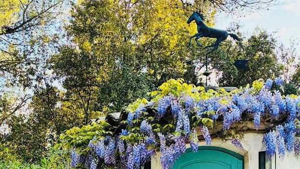 Een turquoise deur met een klein terras, omringd door groen en een standbeeld.