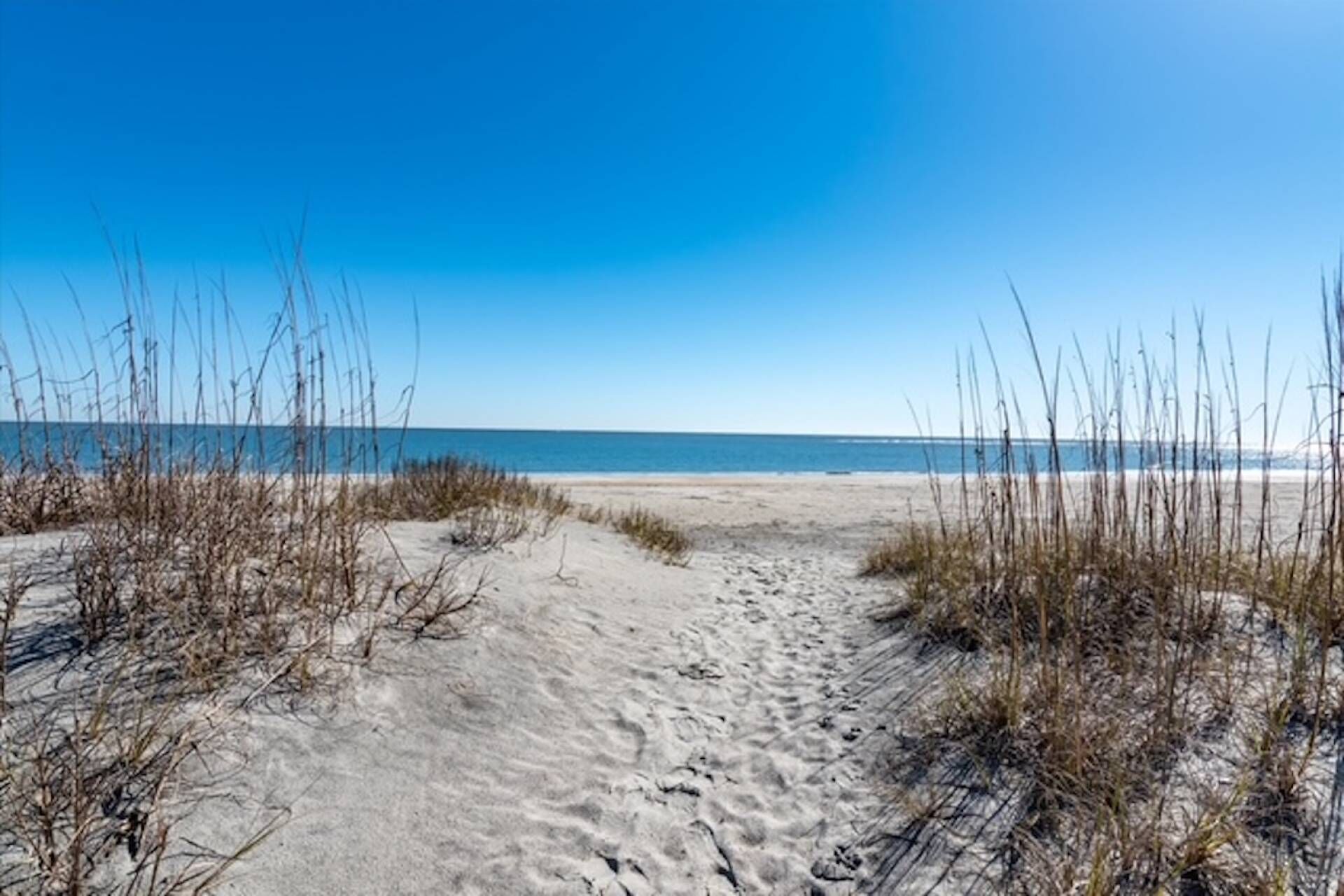 A sandy beach path leading to the ocean with sparse vegetation.