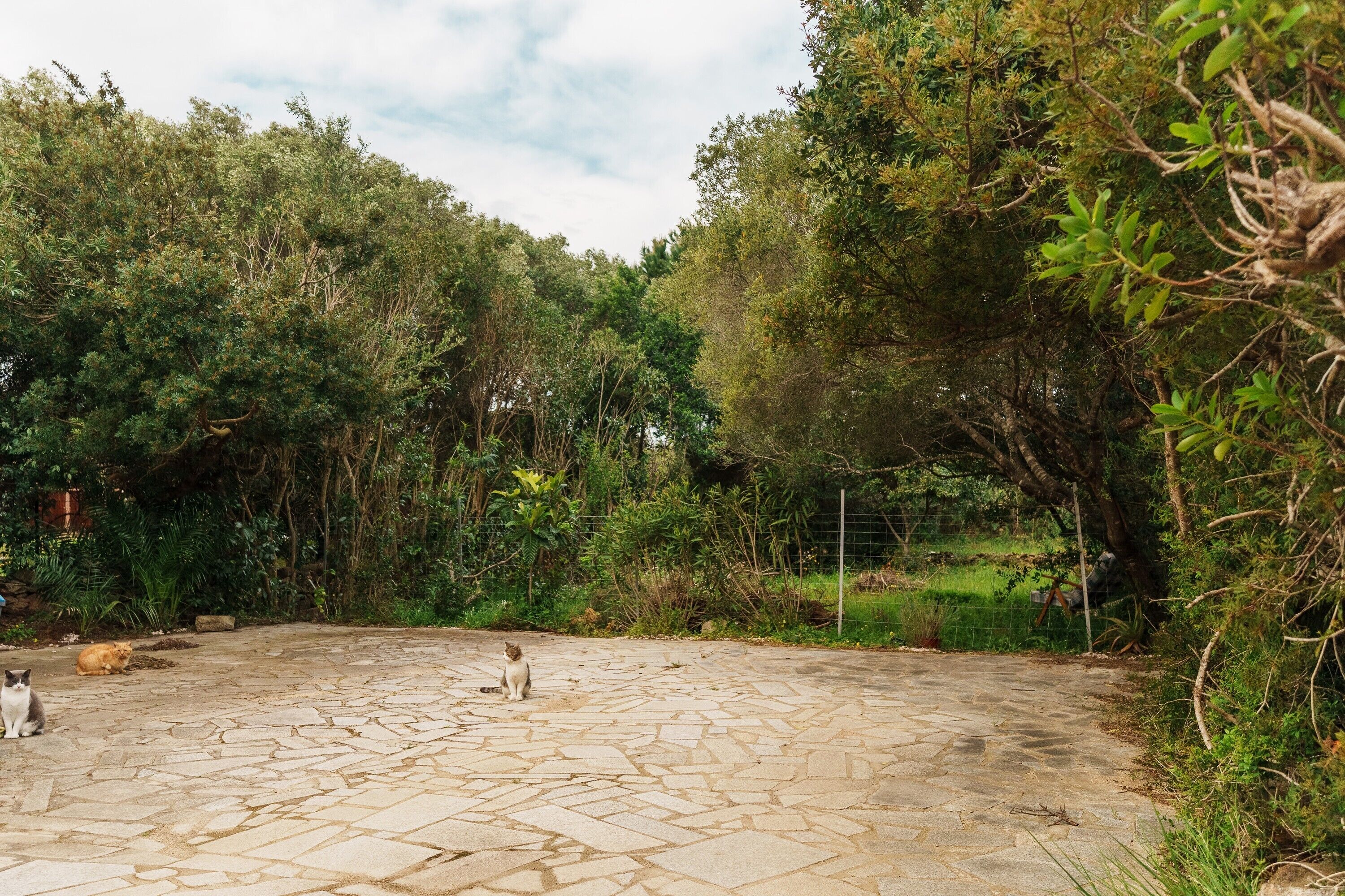 Enceinte de l’hébergement
