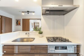 デラックス アパートメント 2 ベッドルーム 簡易キッチン (405) | 専用キッチン