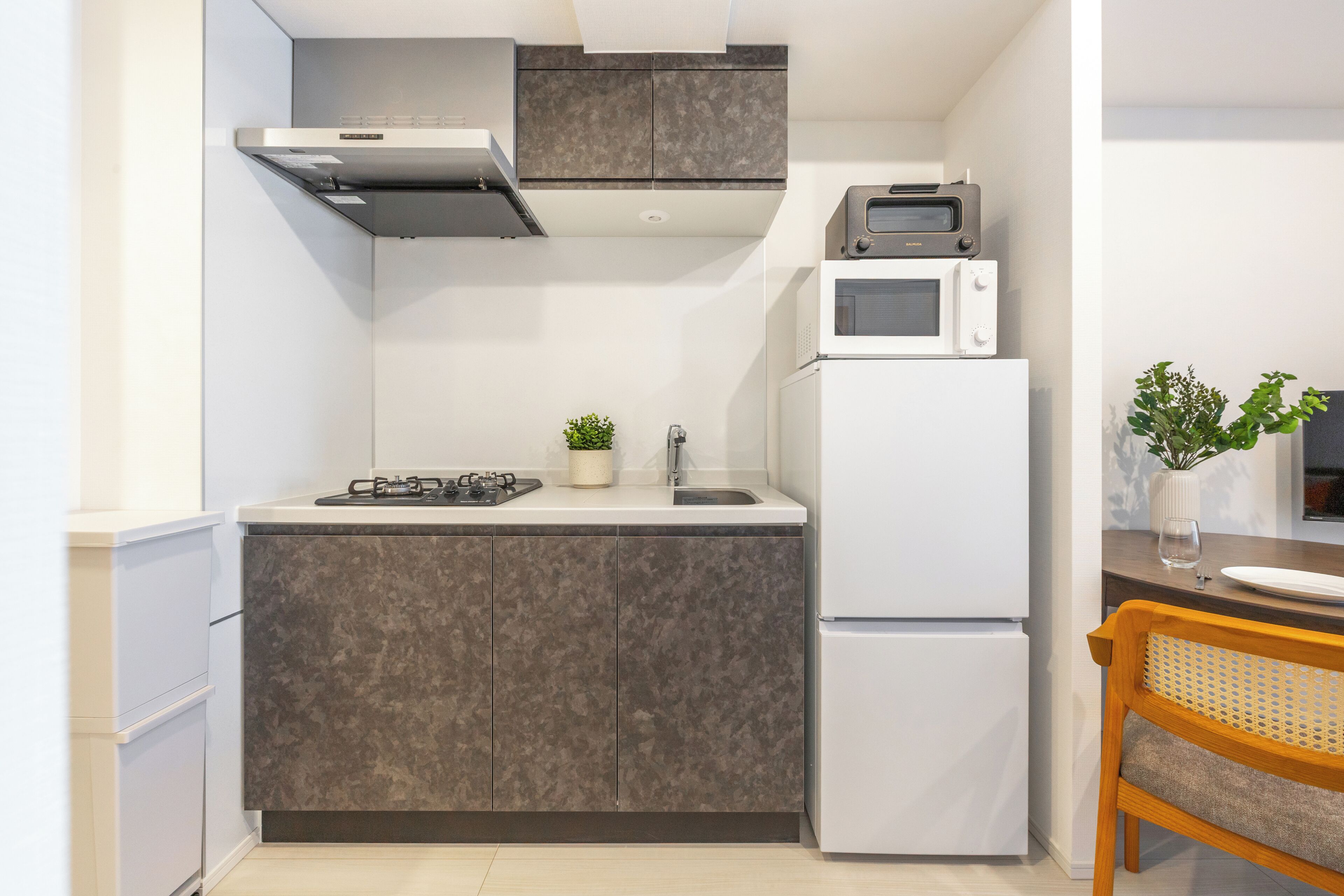 Full-sized fridge, microwave, stovetop, rice cooker