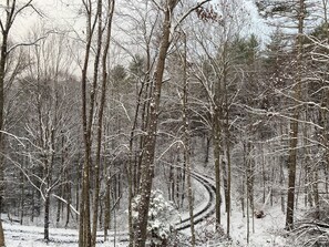 A forest with snow-covered trees and a winding path. - Thistle Ridge Mountain & River Retreat- 12 acres, hot tub, EV charger, fire pits (Lansing)